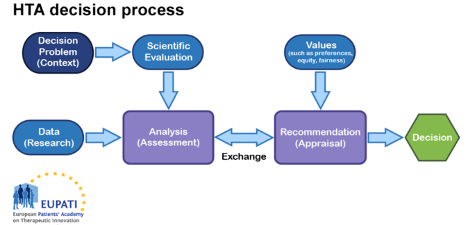 A flowchart illustrating the steps involved in the HTA decision-making process.