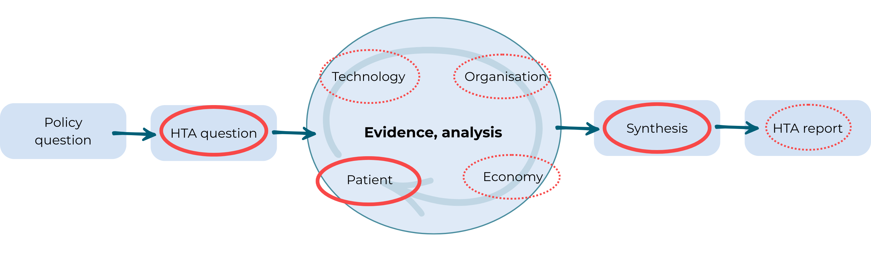 simplified HTA process, highlighting where patients play a prominent role