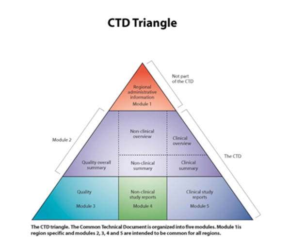 The CTD describes in detail how a dossier for a MA application shall be collected and structured