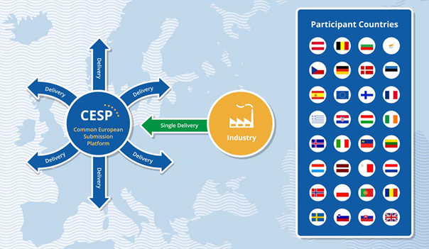 Image showing the CESP, a worldwide network of partners and stakeholders. It represents global collaboration and cooperation