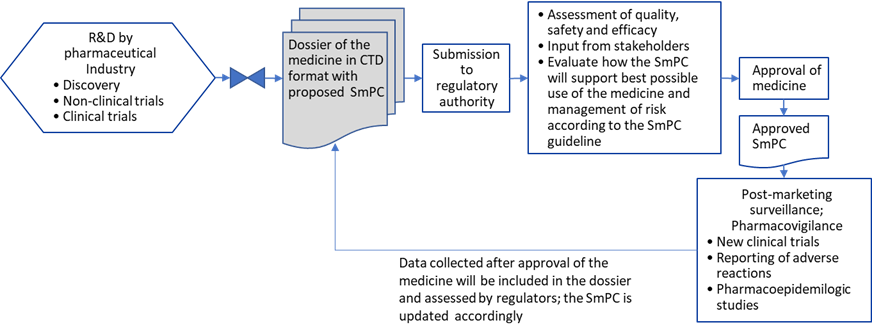 What Is Regulatory Dossier and What Does It Contain? - The