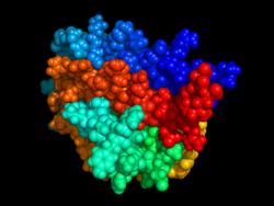 Representation of erythropoietin, a very large protein.