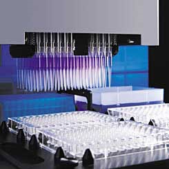 Robotic high throughput screening