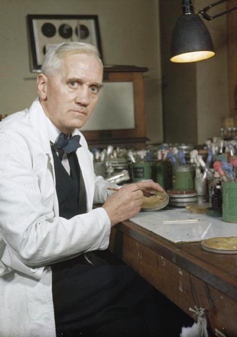 Picture of Alexander Fleming