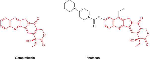 Chemical structure of naturally occurring camptothecin and the semi-synthetic irinotecan.