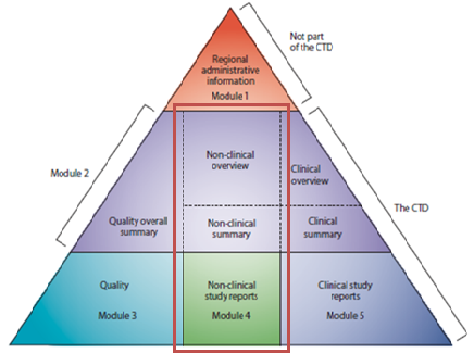 The non-clinical development in CTD modules