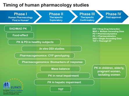 Image with details of the timing of human pharmacology studies across the four phases of medicines development.